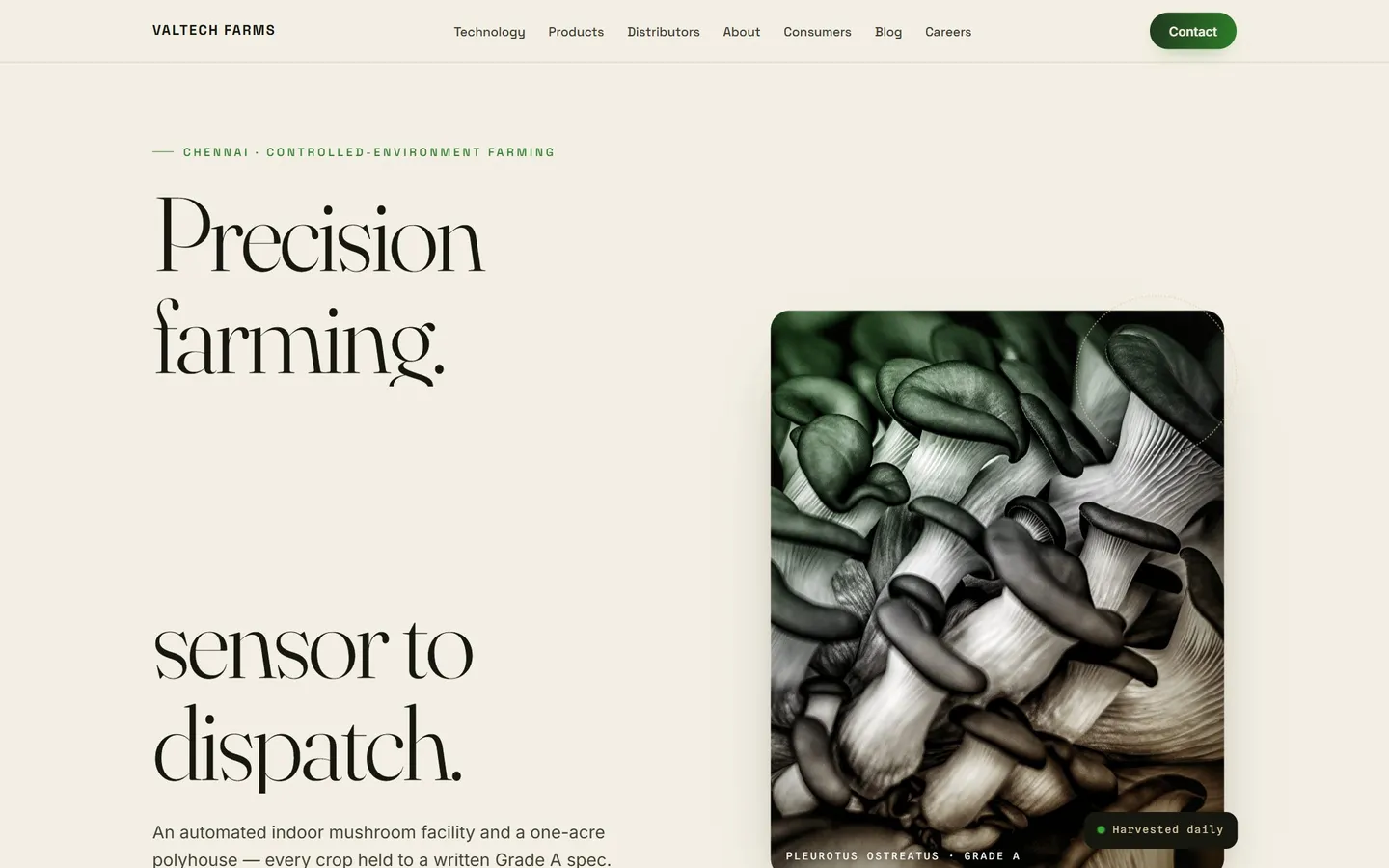 The ValTech Farms Chennai website: the headline Precision farming beside a photograph of grade A oyster mushrooms
